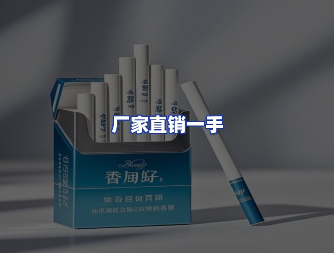 专业团队